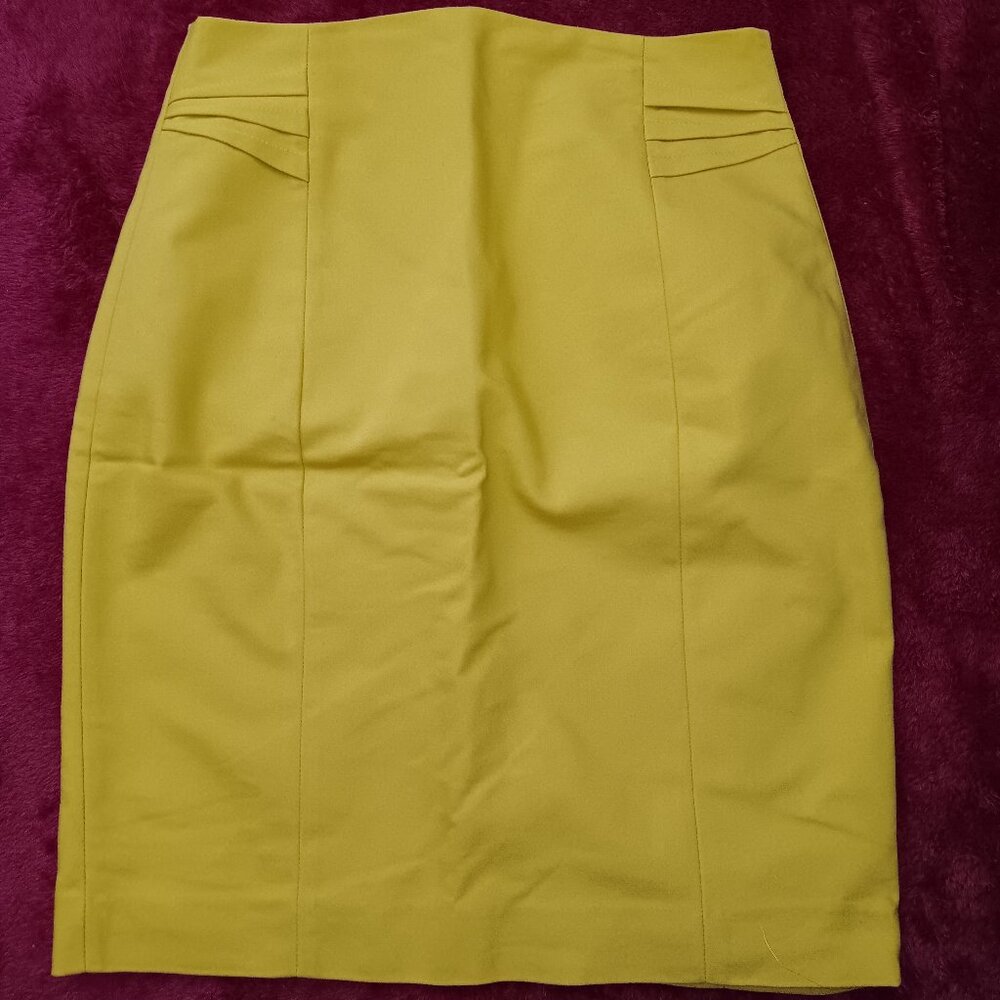 Pencil Skirt